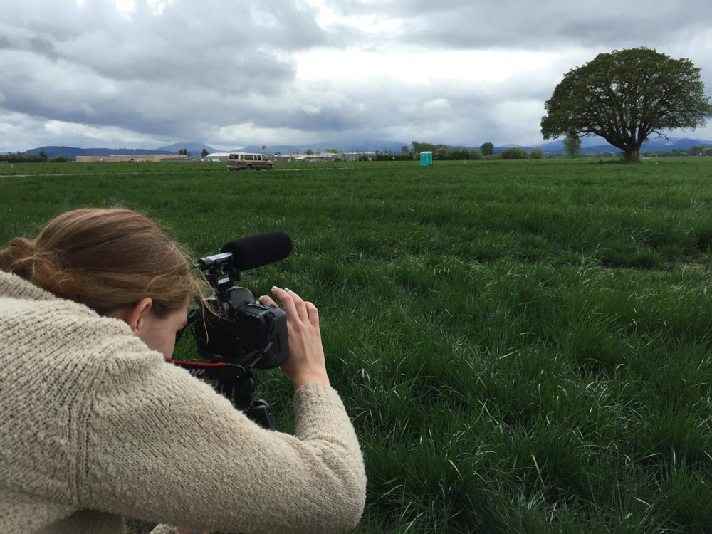 A photographer laying on a grassy meadow aiming their camera at a leafy tree