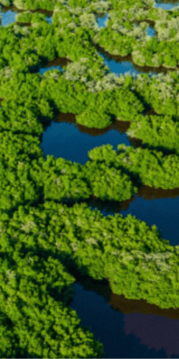 An aerial view of wetlands