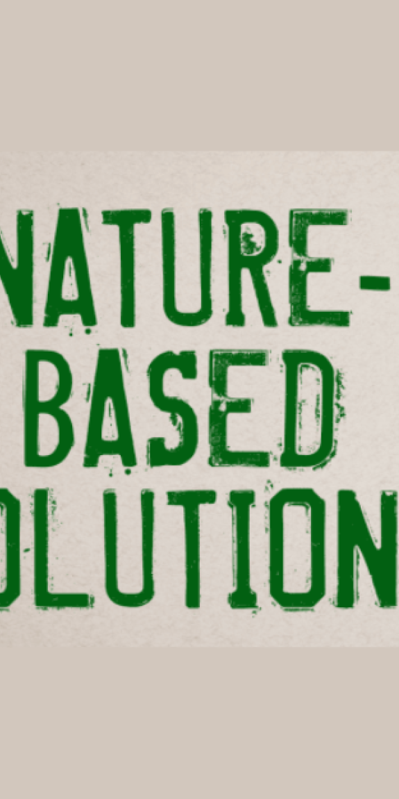 Nature-based solutions is written in green text on a cream background
