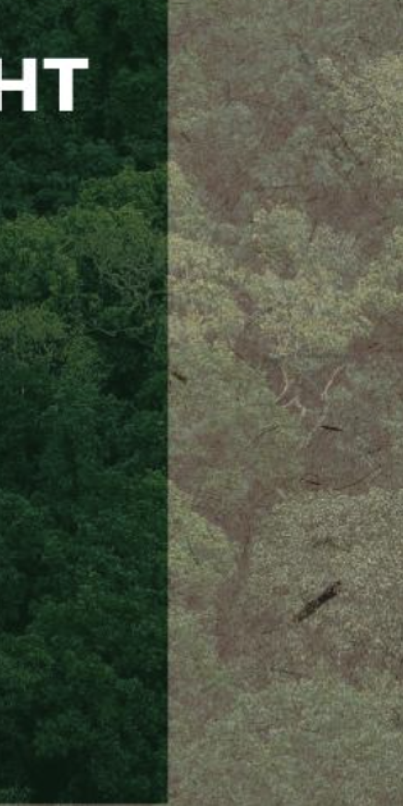 Want to fight climate despair? It starts with how we tell the story.