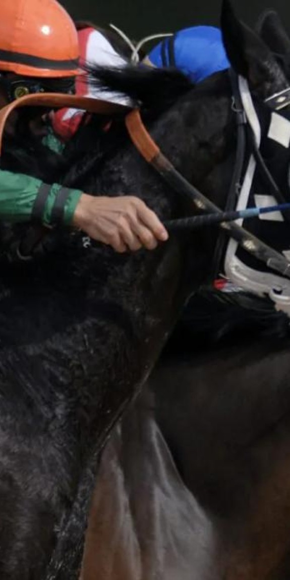 A pair of jockeys ride horses