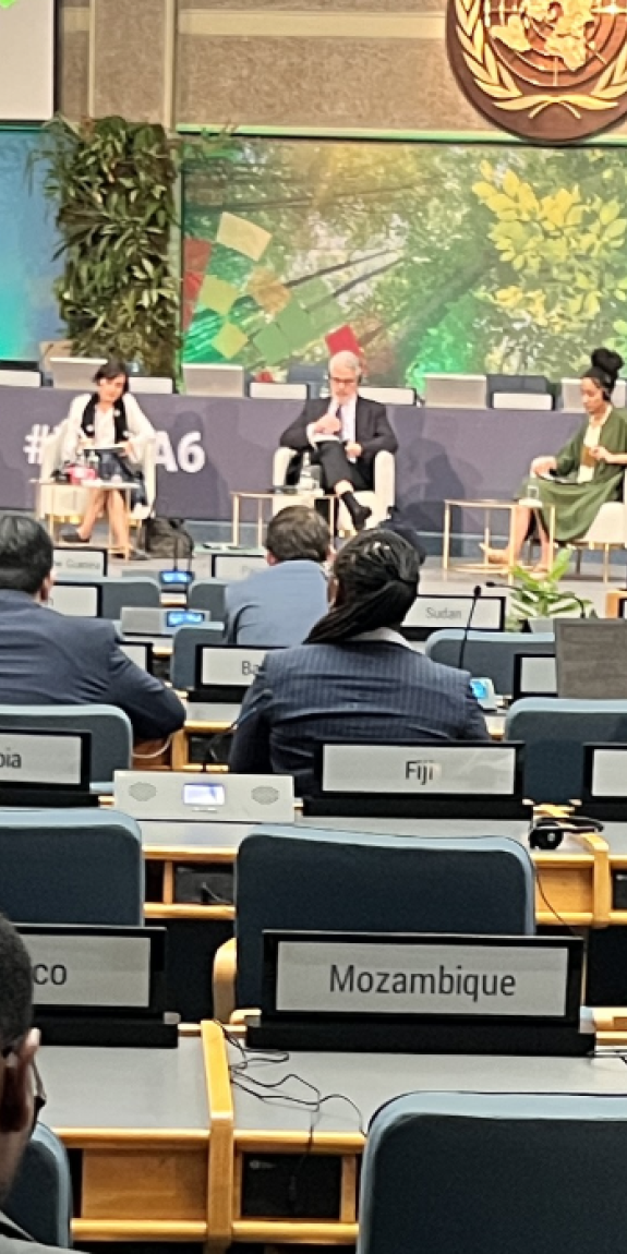 UN session in progress