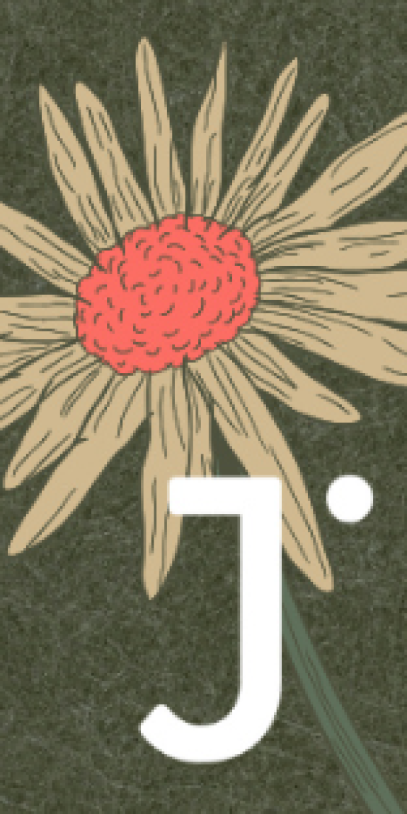 Illustration of flowers