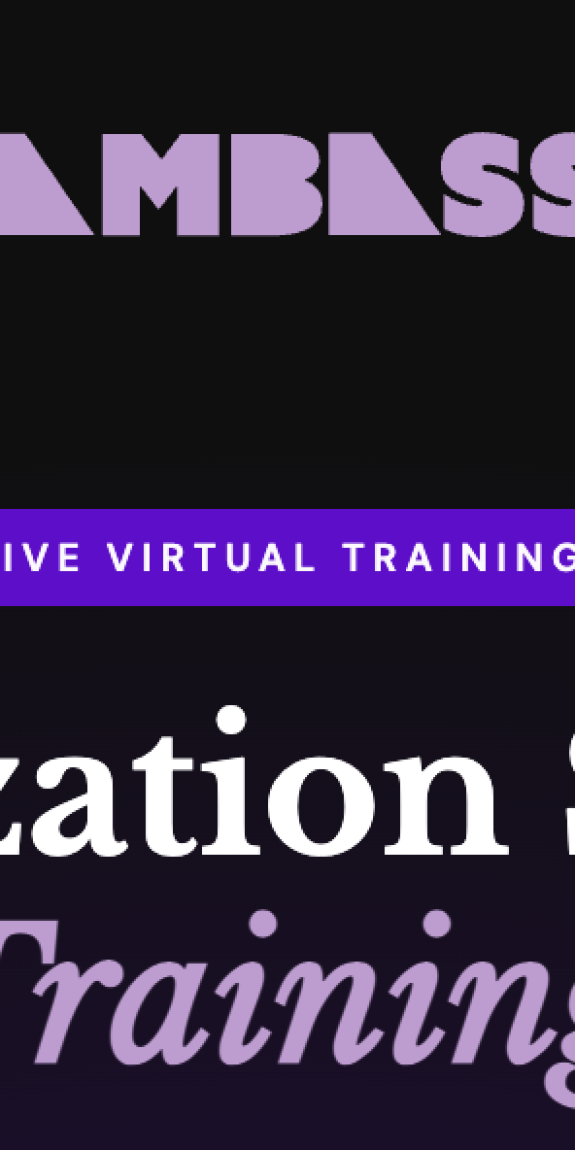 News Ambassadors' Depolarization Strategies Training