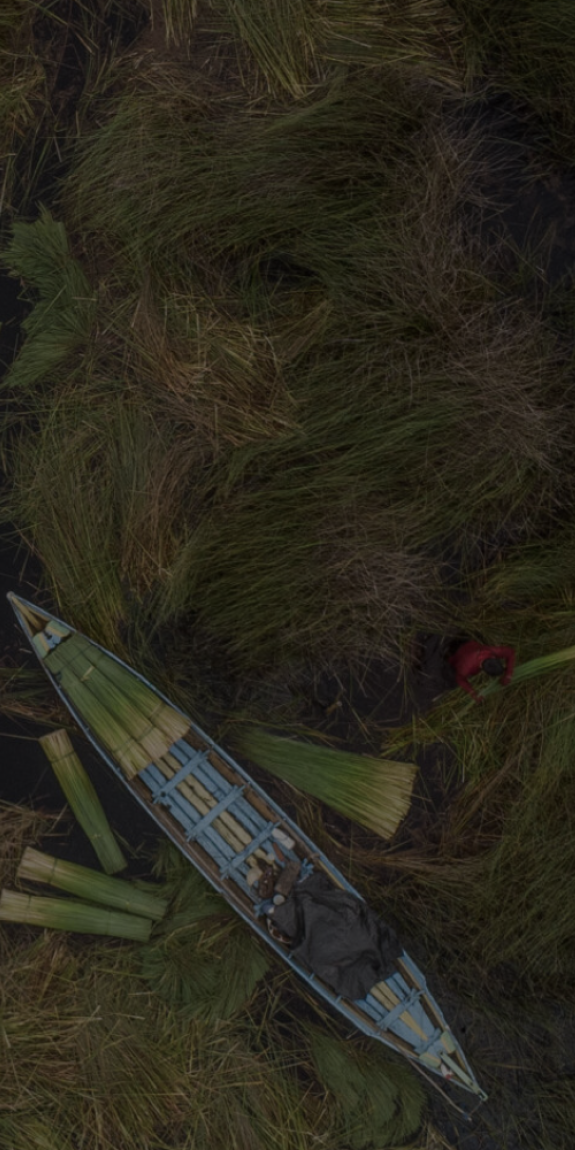 A boat moves through water