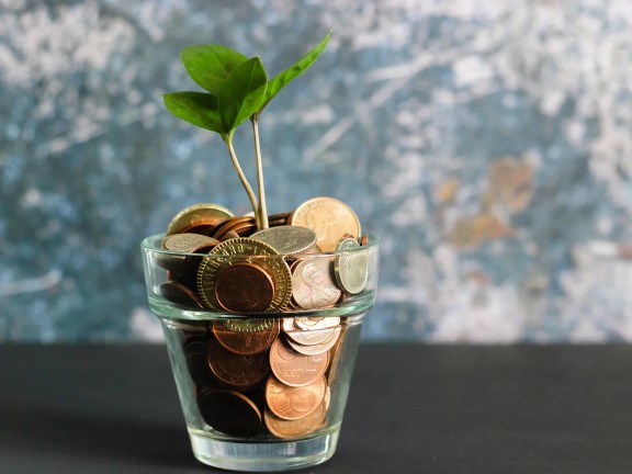 A plant grows out of a cup of coins