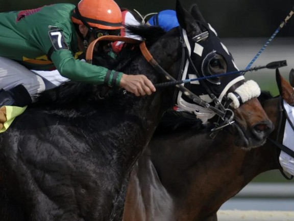 A pair of jockeys ride horses
