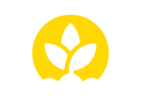 A plant grows