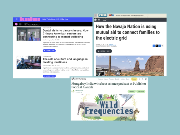 Collage shows solutions journalism series that have recently won awards
