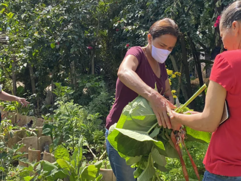 Three women move vegetation