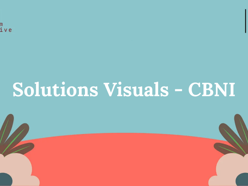 Solutions Visuals - CBNI