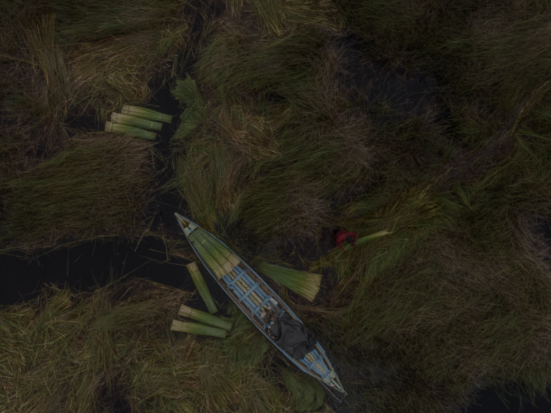 A boat moves through water