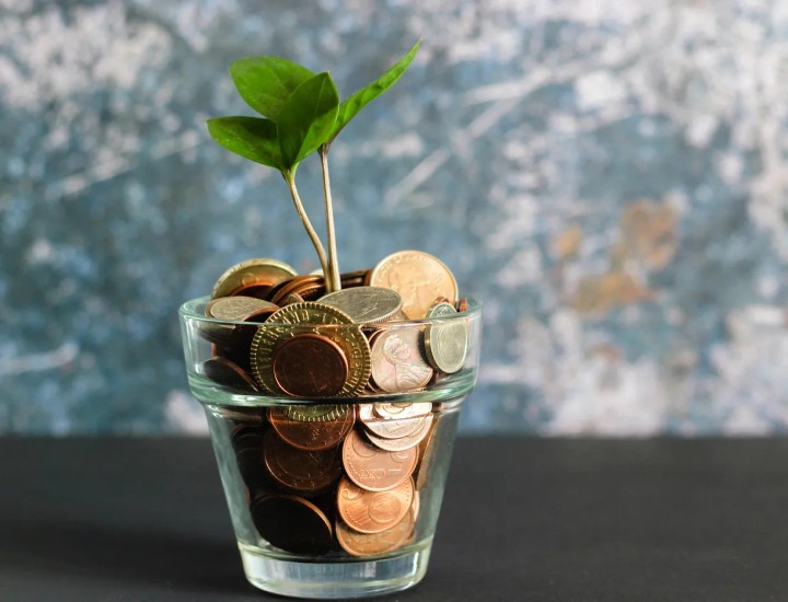 A plant grows out of a cup of coins