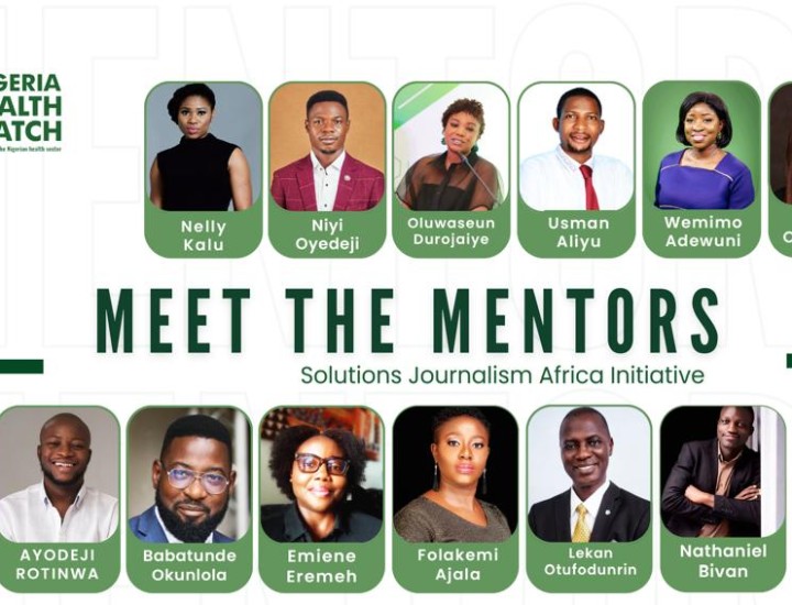 Nigeria Health Watch Mentors