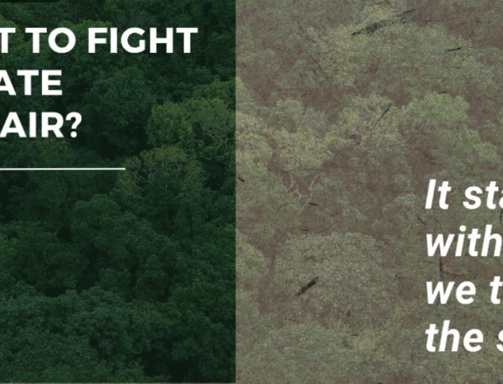 Want to fight climate despair? It starts with how we tell the story.