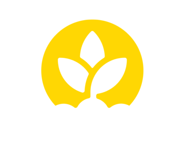 A plant grows