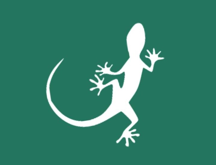 Mongabay