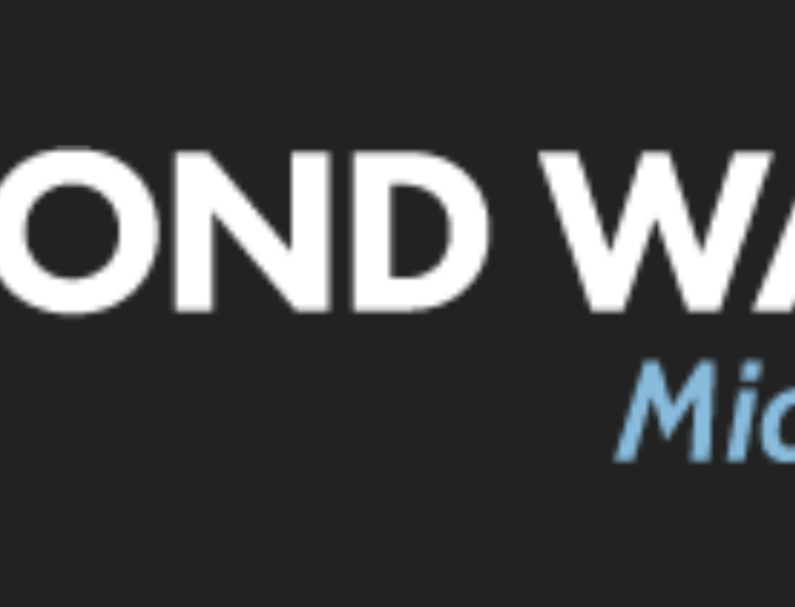 Second Wave Media