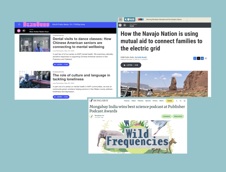 Collage shows solutions journalism series that have recently won awards