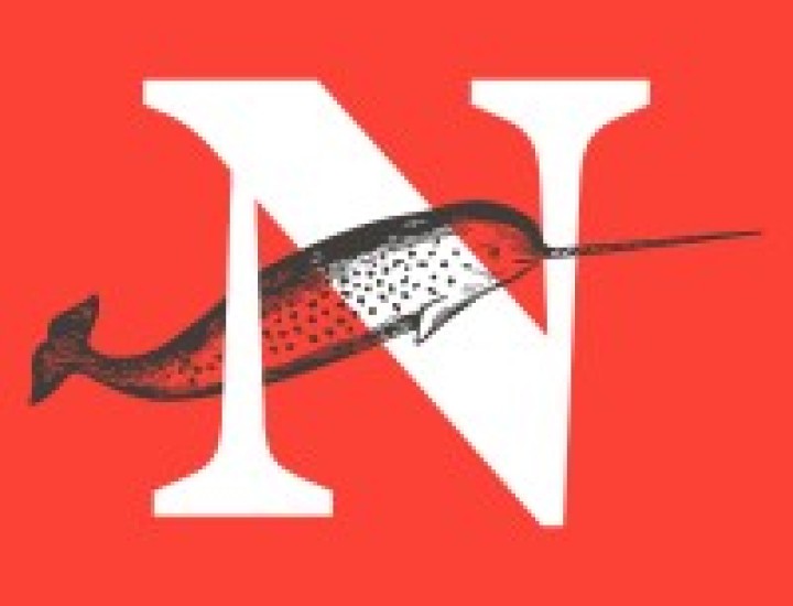 The Narwhal