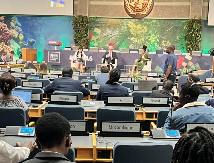 UN session in progress