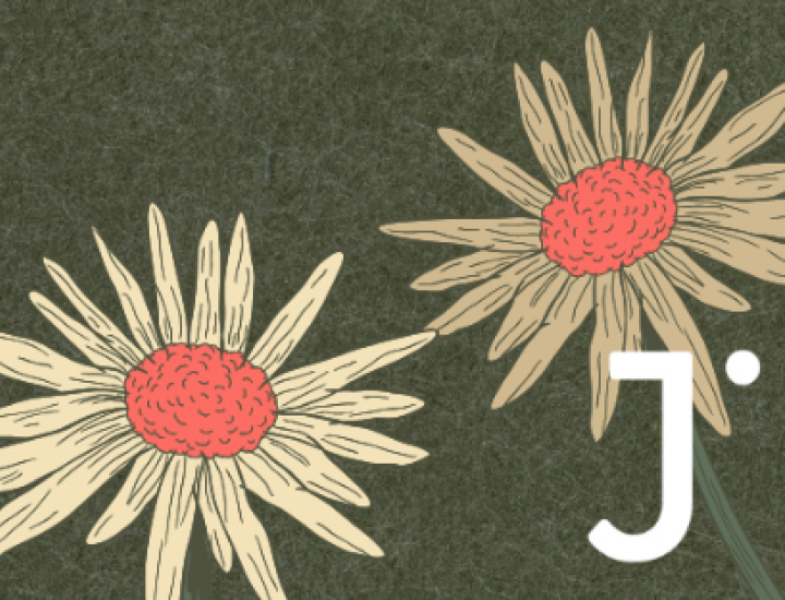 Illustration of flowers