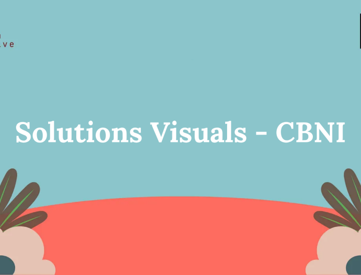 Solutions Visuals - CBNI