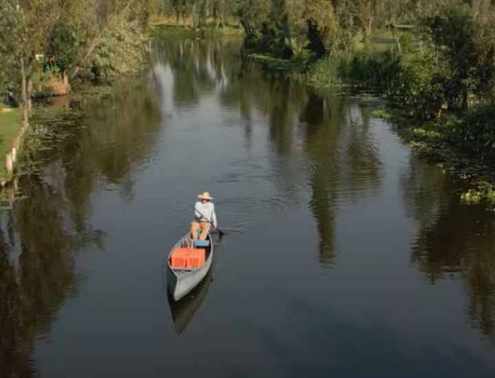 A boat sails through calm waters